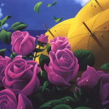 розы и зонтики