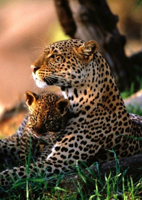 №346723 - оригинал