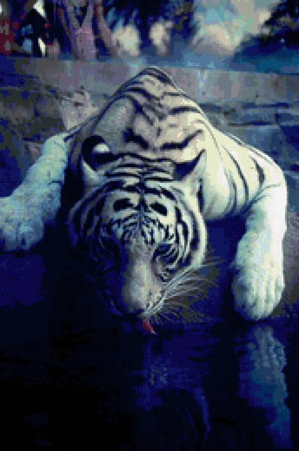 тигр у воды - тигр, животные, хищник - предпросмотр