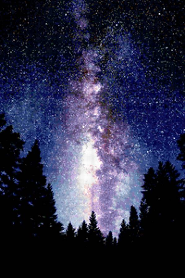 звёзды над лесом - лес, звезды, небо - предпросмотр