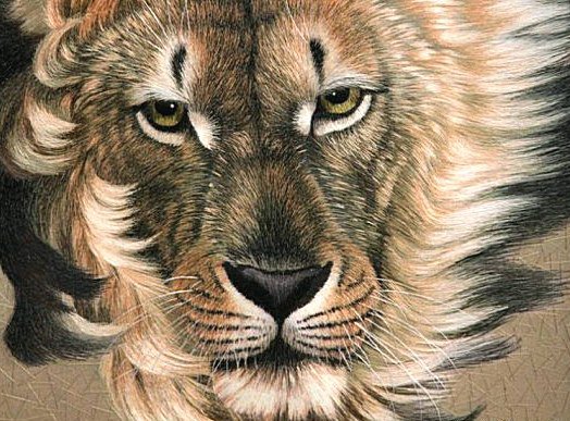 Лев - лев, животные - оригинал