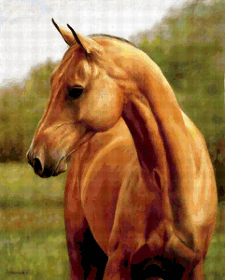 №346917 - предпросмотр