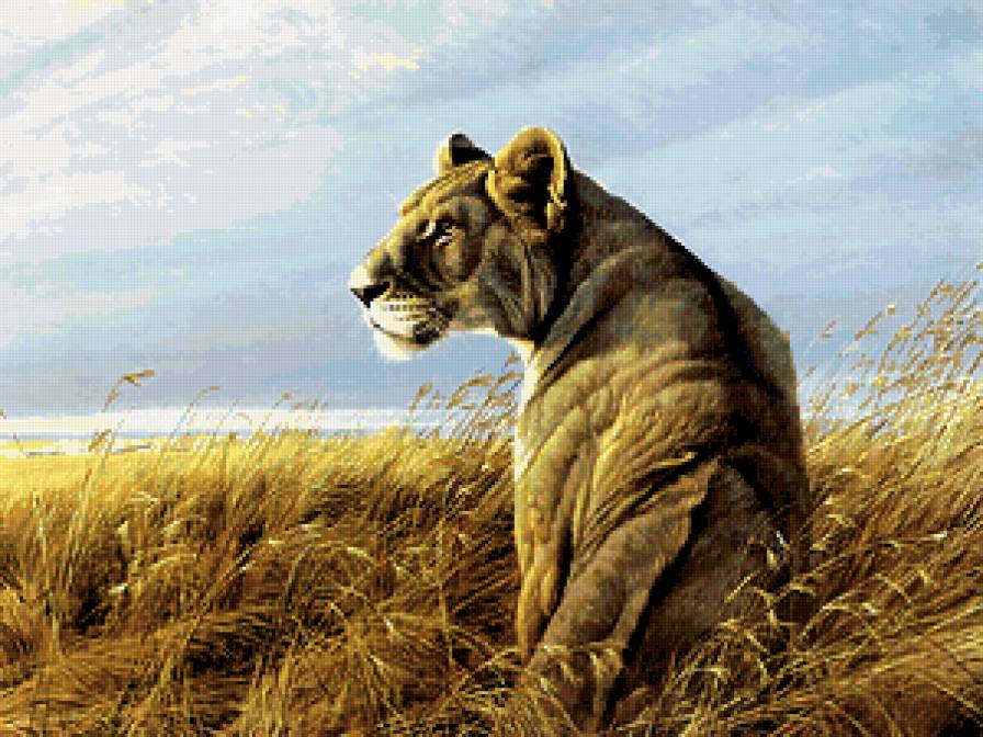 №346930 - предпросмотр