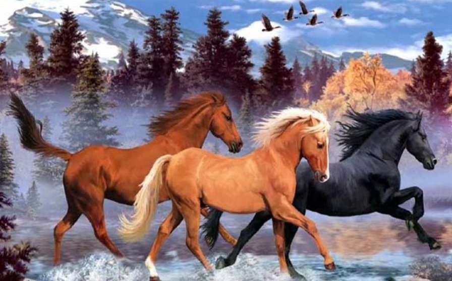 лошади - лошади - оригинал