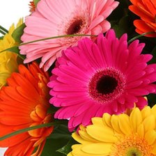 Схема вышивки «№347076»