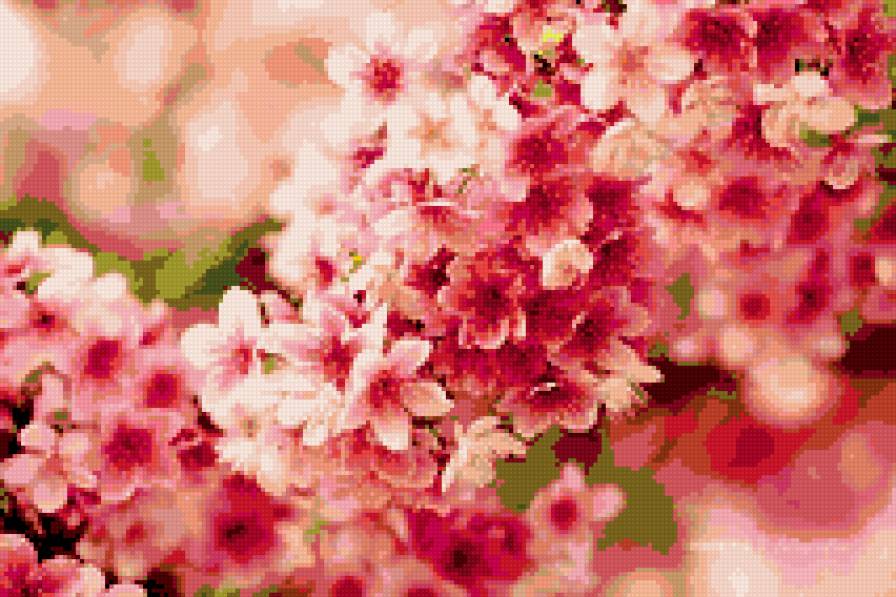 №347080 - предпросмотр