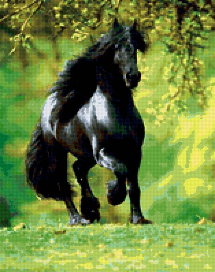 Лошадь 2 - предпросмотр