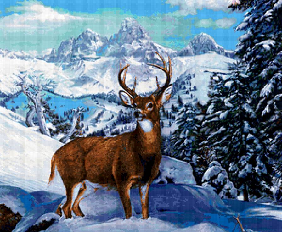 олень в лесу - предпросмотр