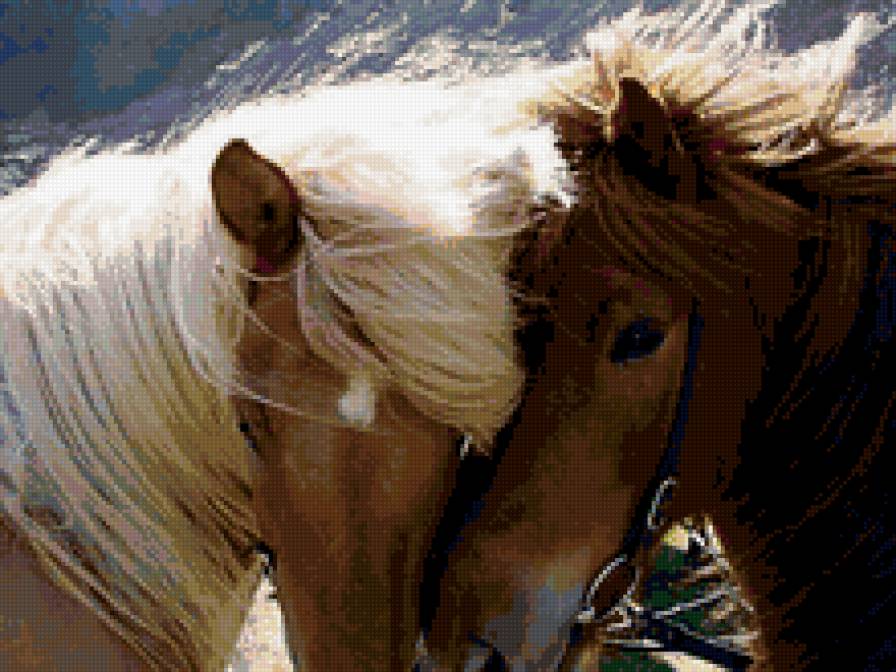 нежность - любовь, пара, нежность, лошади - предпросмотр