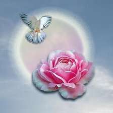 Схема вышивки «№347351»