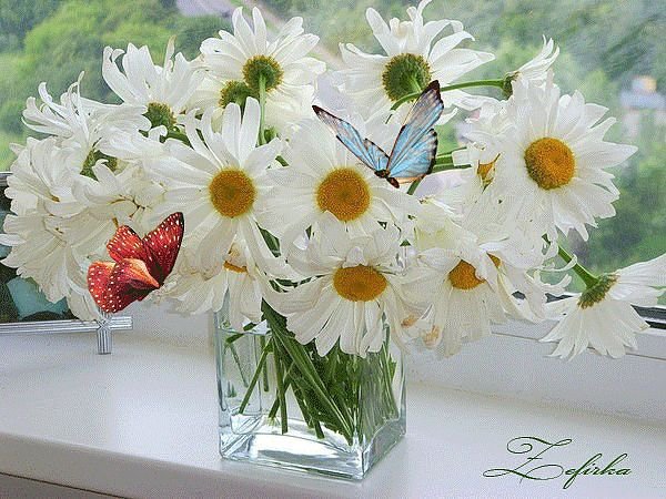 №347353 - оригинал