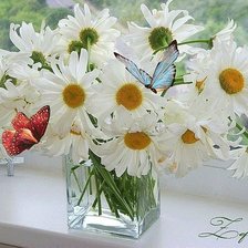 Схема вышивки «№347353»