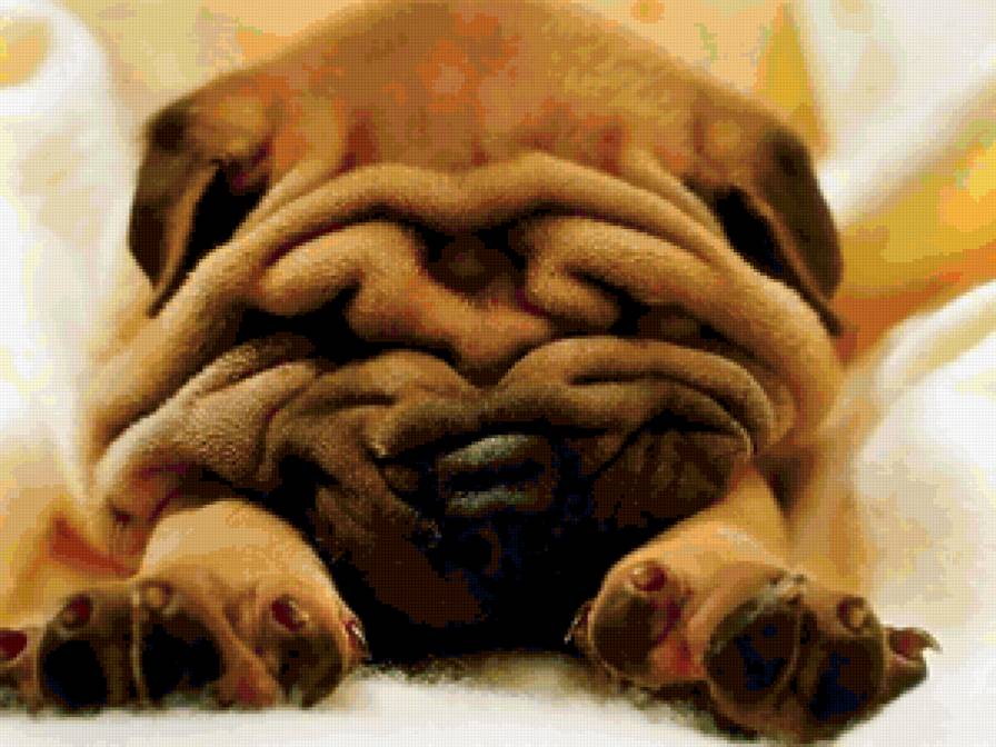 №347356 - предпросмотр