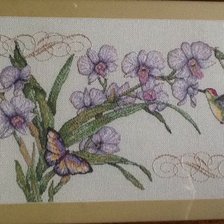 Схема вышивки «колибри на цветах»