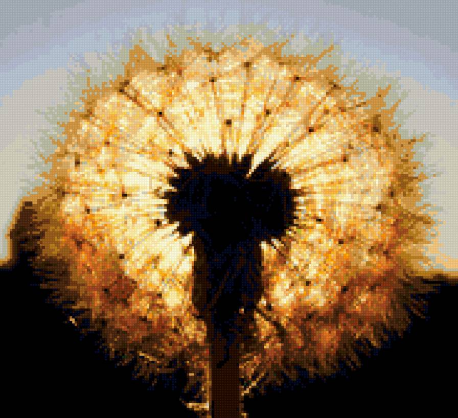 Одуванчик - одуванчик, закат - предпросмотр