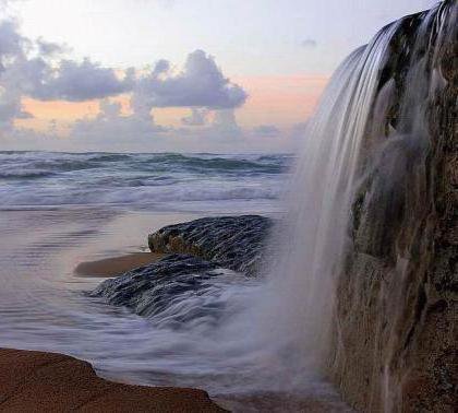 №347555 - оригинал