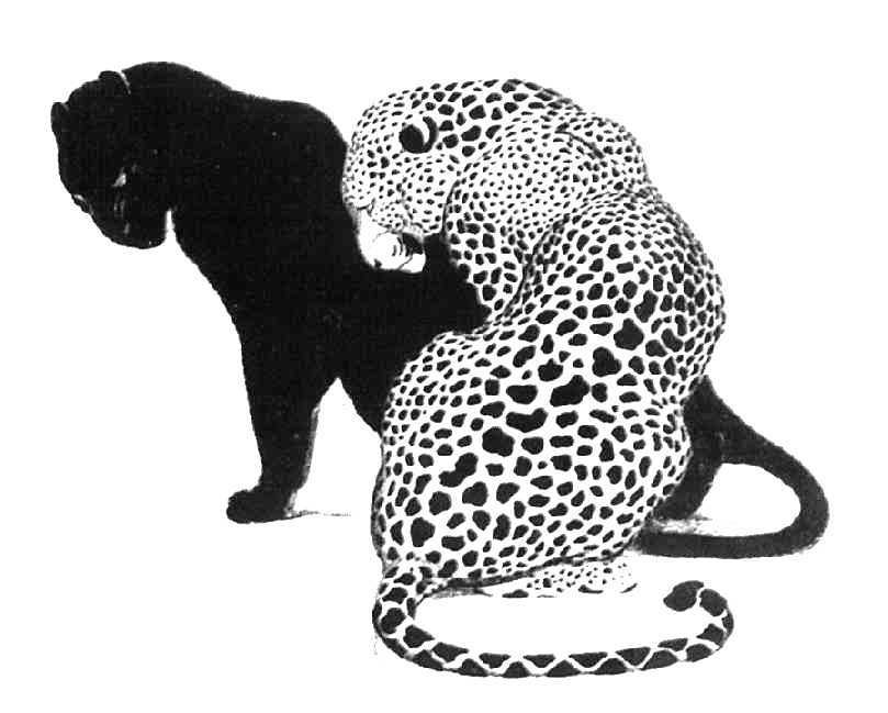 №347643 - оригинал