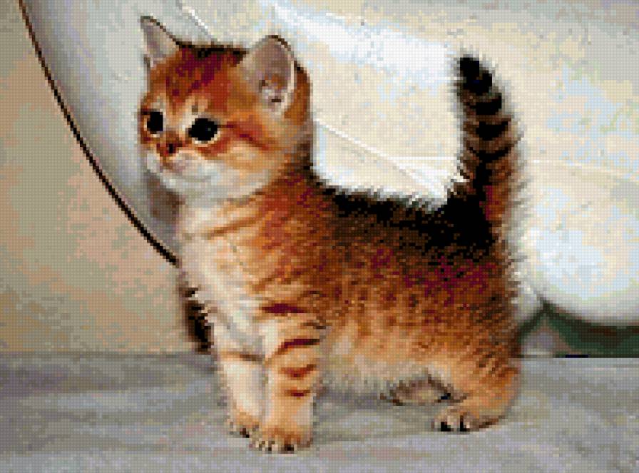 животные - предпросмотр