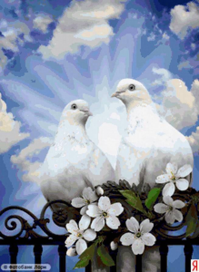 птицы - предпросмотр