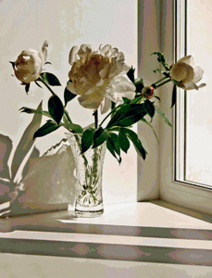 пионы - пионы, букет, цветы, натюрморт - предпросмотр