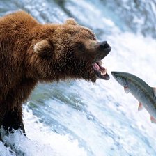 Схема вышивки «медведь на рыбалке»