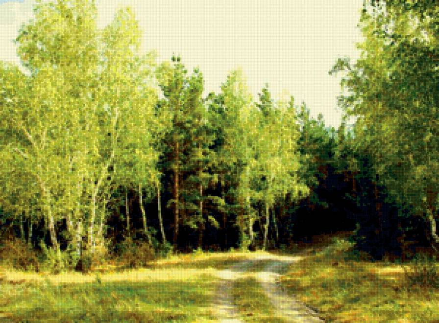 Русский лес - деревья, лес, тропинка, лето, россия, природа - предпросмотр