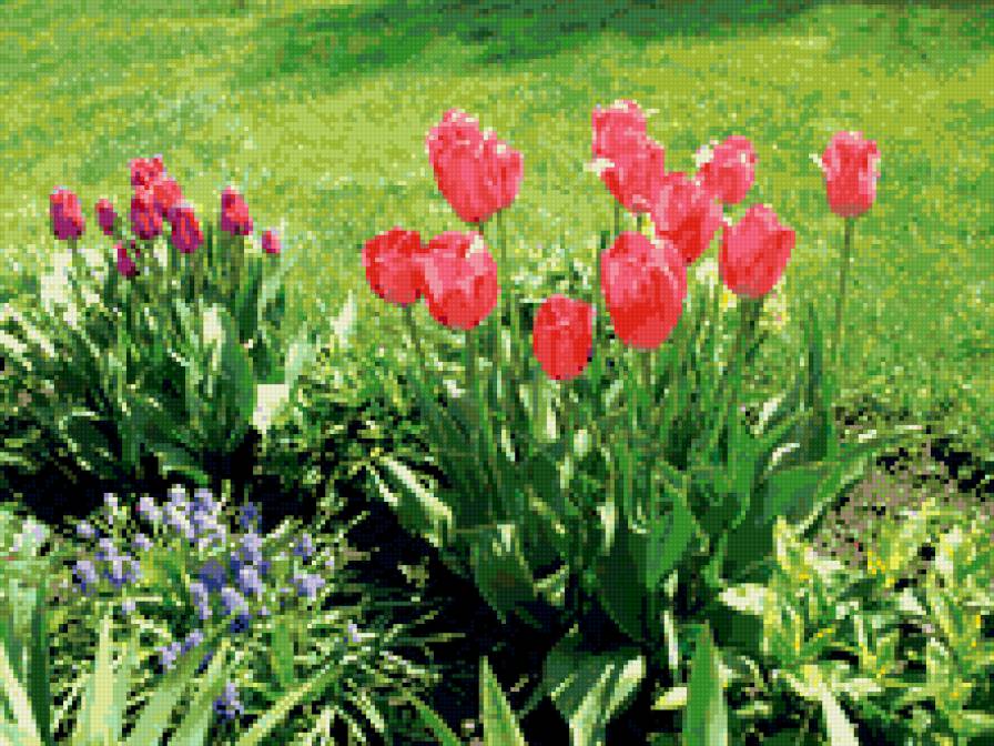 №347960 - цветы, сады, цветник - предпросмотр