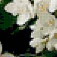 Предпросмотр схемы вышивки «жасмин» (№347975)
