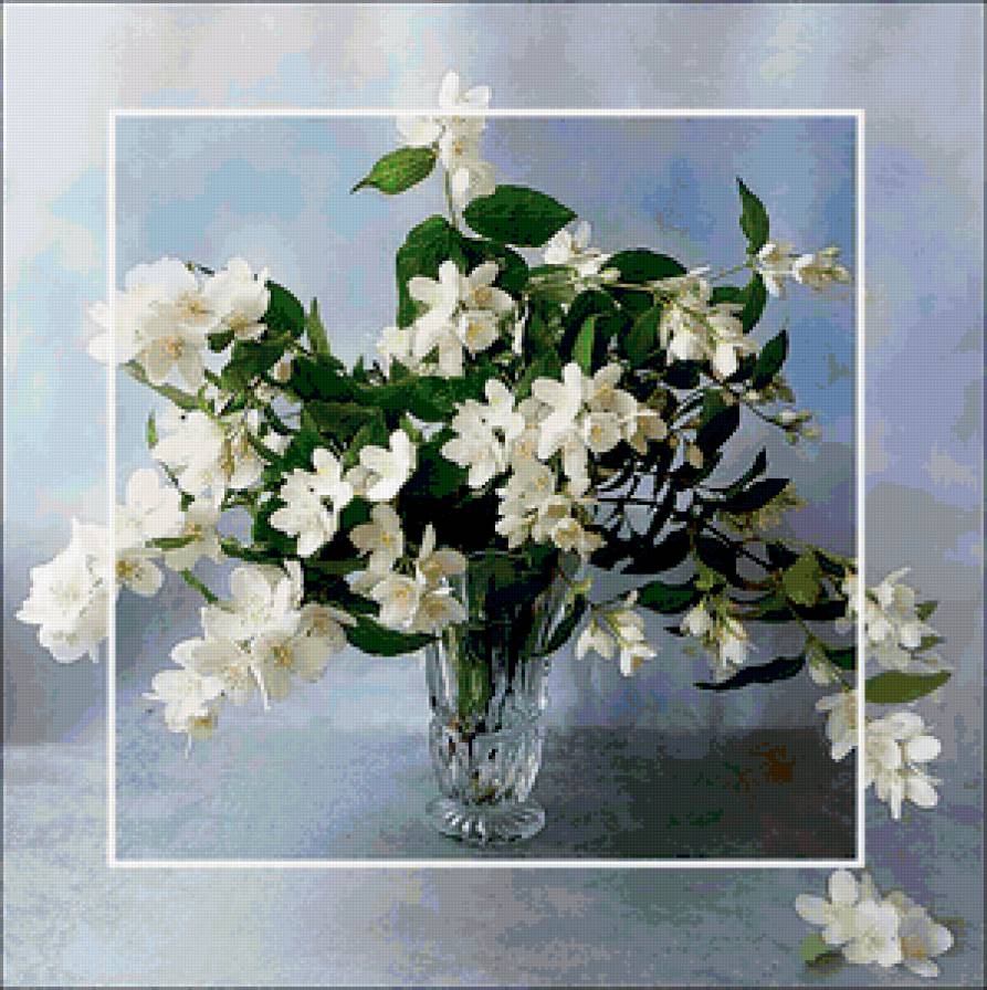 жасмин - цветы, букет, натюрморт, жасмин - предпросмотр