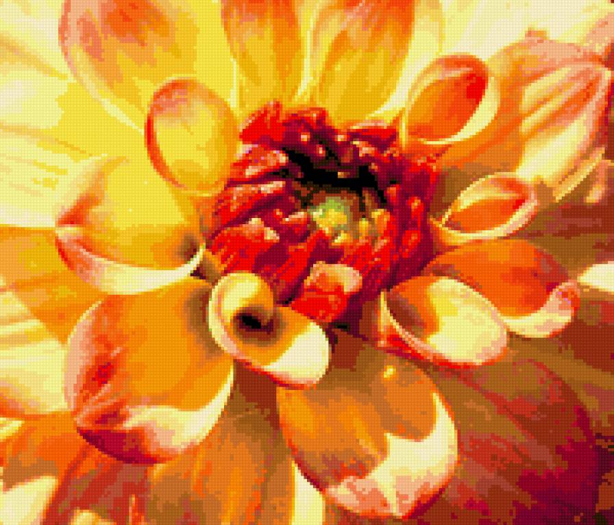 №347982 - георгины, цветы - предпросмотр