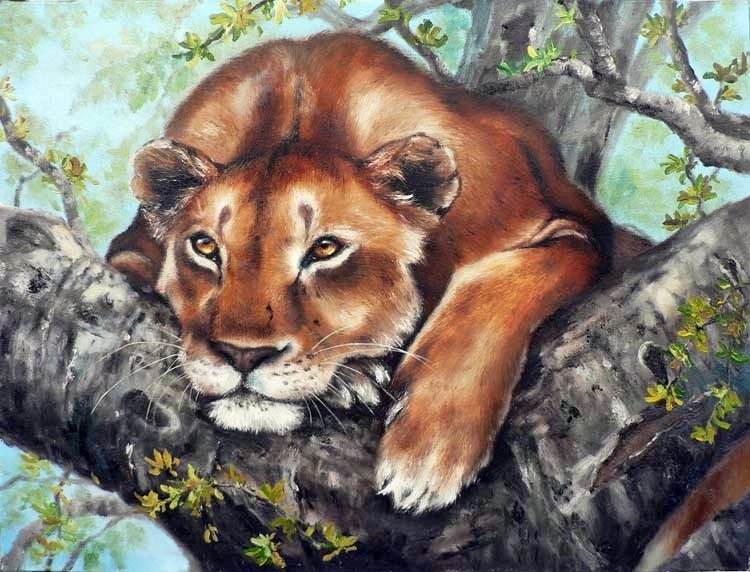 В РАЗДУМЬЯХ - лев, животные, хищники, кошки, львица - оригинал