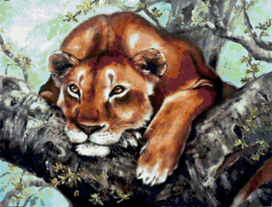 В РАЗДУМЬЯХ - кошки, лев, хищники, животные, львица - предпросмотр