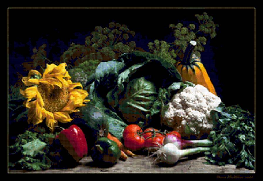 натюрморт - предпросмотр