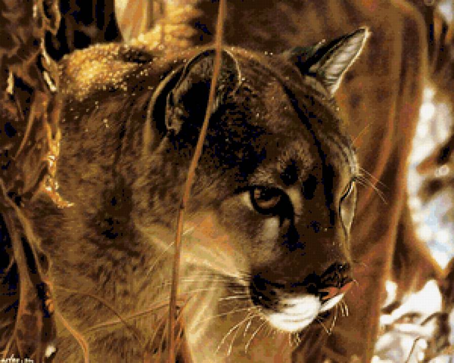 картина - животные - предпросмотр