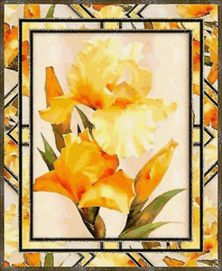 Ирисы - ирисы, цветы - предпросмотр