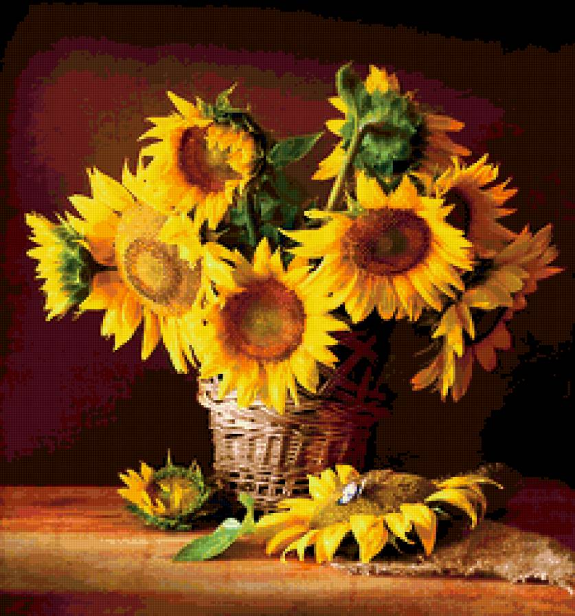 подсолнухи - предпросмотр