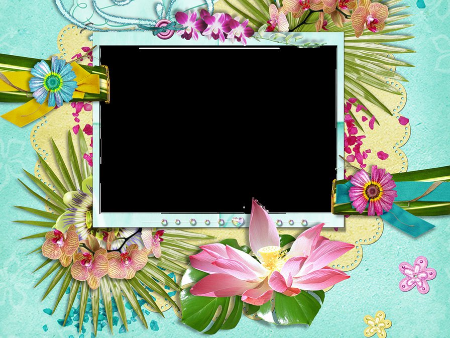 №348555 - цветы, букет, рамка - оригинал