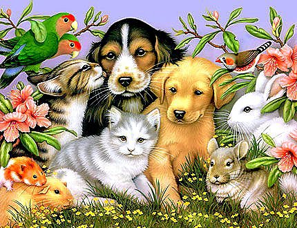 Домашние питомцы - птицы, свинки, животные, собаки, кошки, кролики, попугайчики - оригинал