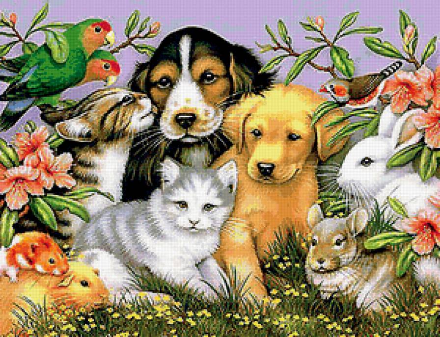 Домашние питомцы - кролики, кошки, собаки, птицы, свинки, животные, попугайчики - предпросмотр