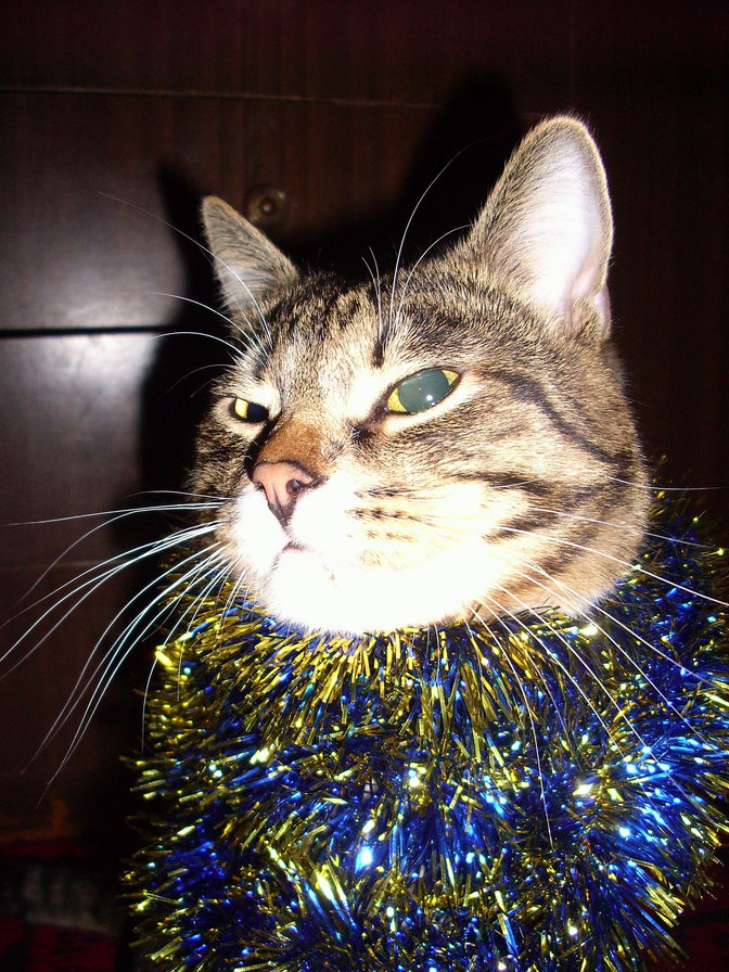 Муська - оригинал