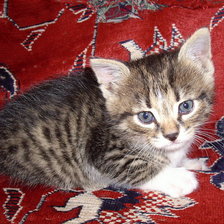 Схема вышивки «№348593»