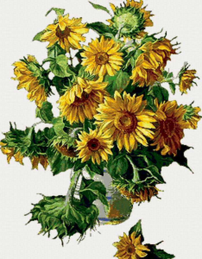 подсолнухи - предпросмотр