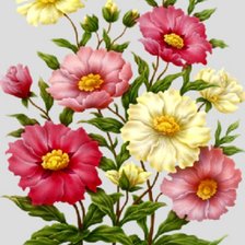 Схема вышивки «букет цветов»