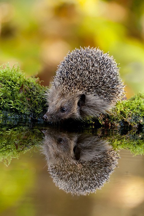 №348682 - оригинал