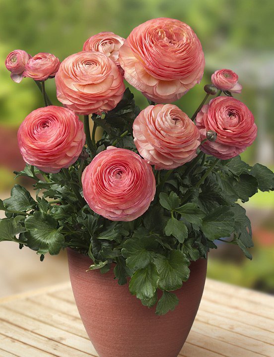 №348693 - оригинал