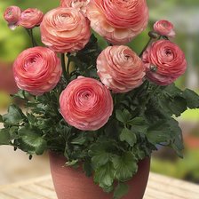 Схема вышивки «№348693»