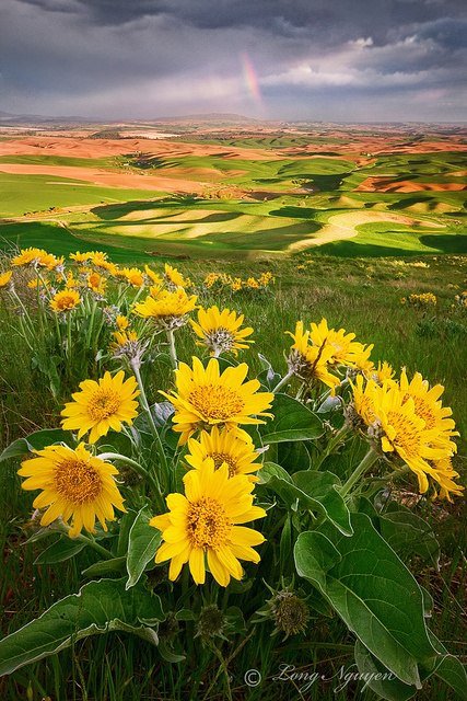 №348698 - оригинал