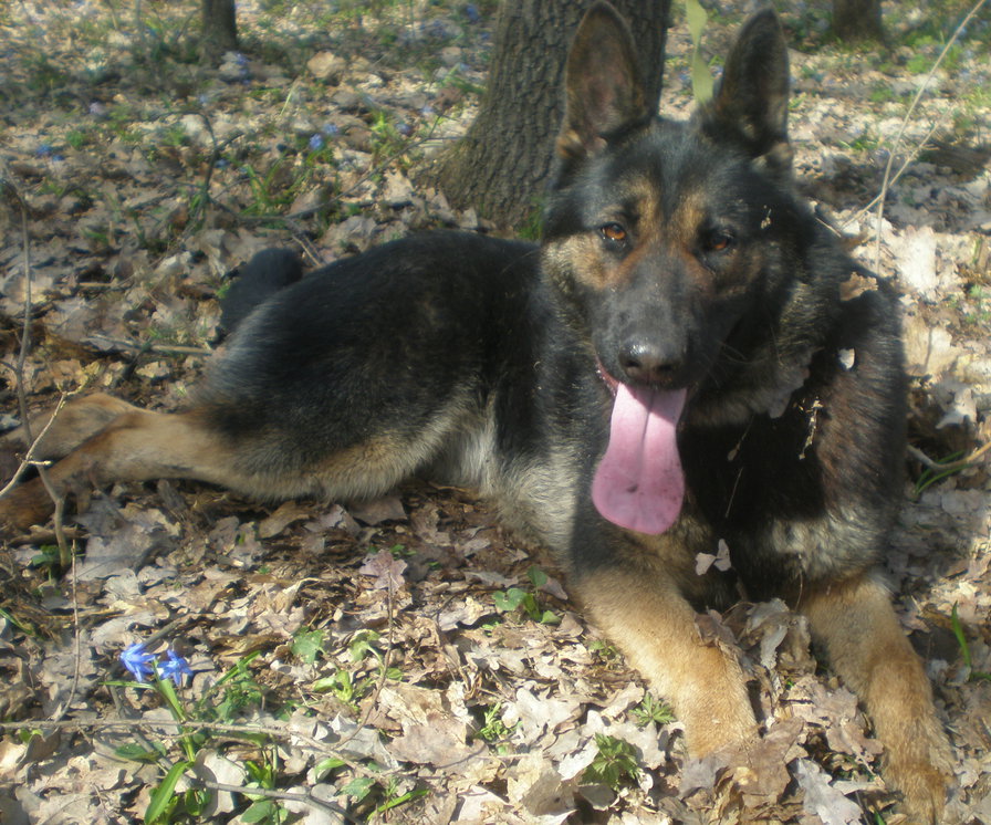 №348777 - оригинал