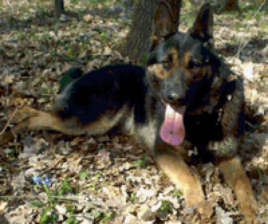 №348777 - предпросмотр