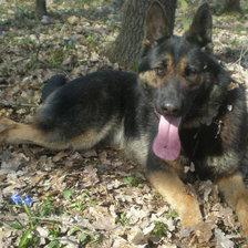 Схема вышивки «№348777»